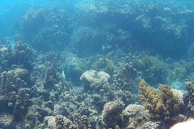 Private Half Day Sailing Excursion on the Lagoon of Tahiti - Who will enjoy this Tahiti excursion most
