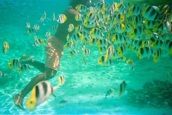 Private Half Day Sailing Excursion on the Lagoon of Tahiti - Meeting at Parc Vaira’i in Punaauia