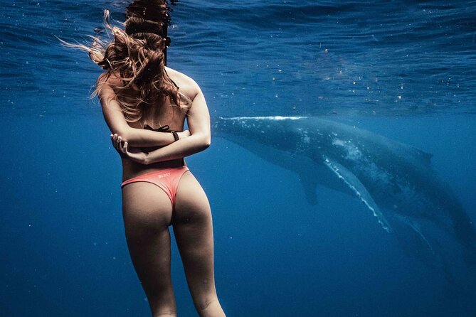Private Half Day Whale Watching Tour - Why a six-person boat changes the day