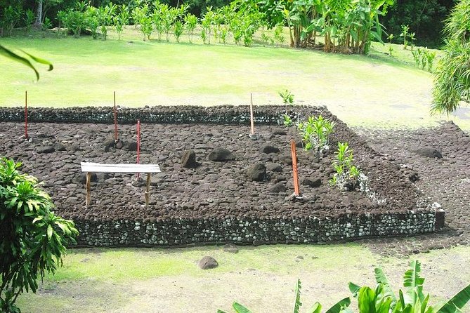 Private Island Tour ( 5 HOURS) - What makes this Tahiti tour worth considering