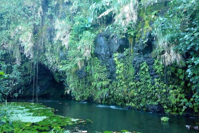 Private Island Tour ( 5 HOURS) - Vaipahi Water Gardens, a slower botanical stop