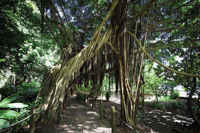 Private Island Tour ( 5 HOURS) - Point Venus and the north coast