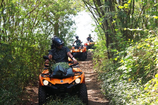 Private Island Tour by ATV / QUAD - Local legends, island stories, and the human touch