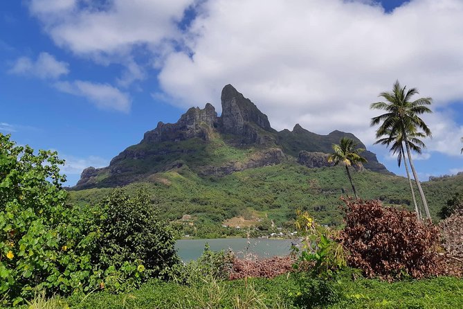 Private Island Tour by ATV / QUAD - The quad ride and off-road trails