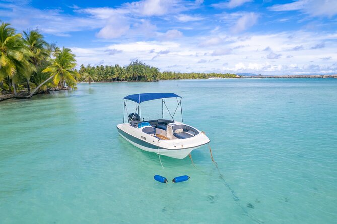 Private Jetboard Lessons with Instructor in Bora Bora - Who should book this experience?