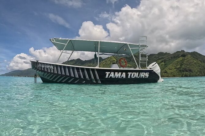 Private Lagoon Exploration and Snorkeling in Moorea - Turtle watching and colorful reef fish
