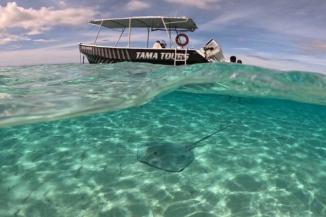 Private Lagoon Exploration and Snorkeling in Moorea - The underwater tiki adds a Moorea touch