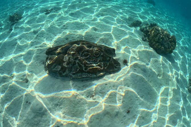Private Lagoon Exploration and Snorkeling in Moorea - Fitness, equipment, and practical comfort