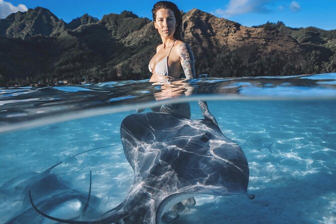 Private Marine Wildlife Adventure with Underwater Photography - Key details before you book