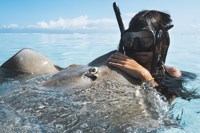 Private Marine Wildlife Adventure with Underwater Photography - Starting at Plage de Tiahura
