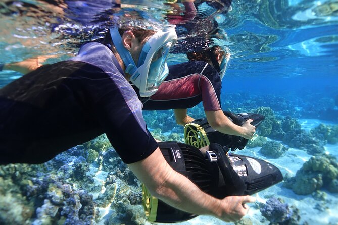 Private Marine Wildlife Adventure with Underwater Photography - The outer reef and Moorea’s coral gardens