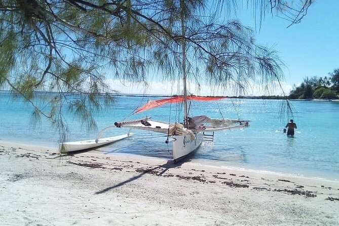 Private Moorea Discovery Half-day Sailing - Weather, swimming, and what to bring