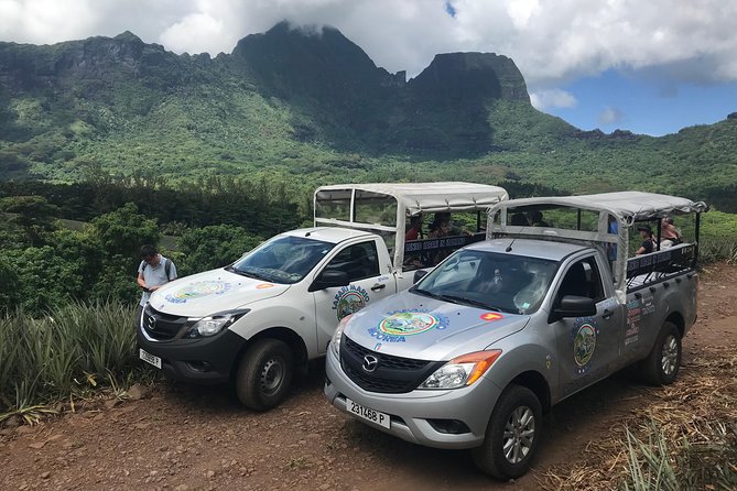 Private Morning Moorea 4WD Tour with Champagne - Champagne at the end of the morning