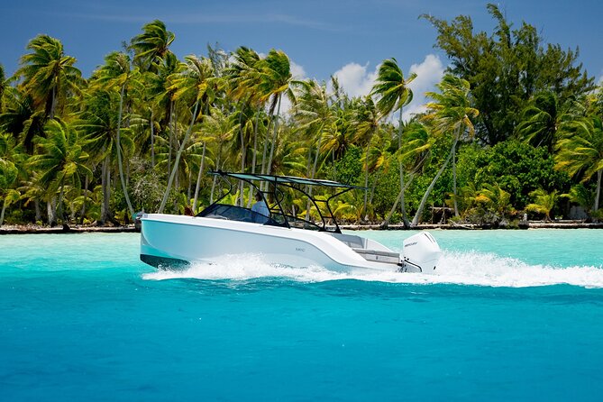 Private Reef Discovery Luxury Motu Lunch Cruise in Bora Bora - Key details before you book