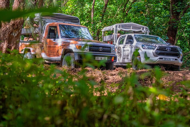 Private Safari Adventure Tour in Bora Bora with Local Guide - Mount Popoti and the big panoramic payoff