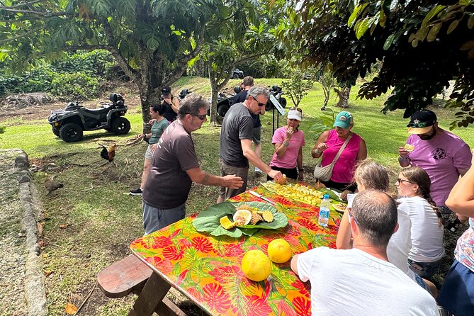 Private Safari Adventure Tour in Bora Bora with Local Guide - Drinks, fruit, and the missing lunch