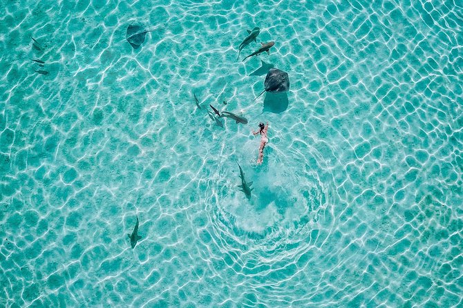 PRIVATE Sunset Tour: Moorea Snorkeling on a Catamaran named Taboo - The underwater tikis add a local touch