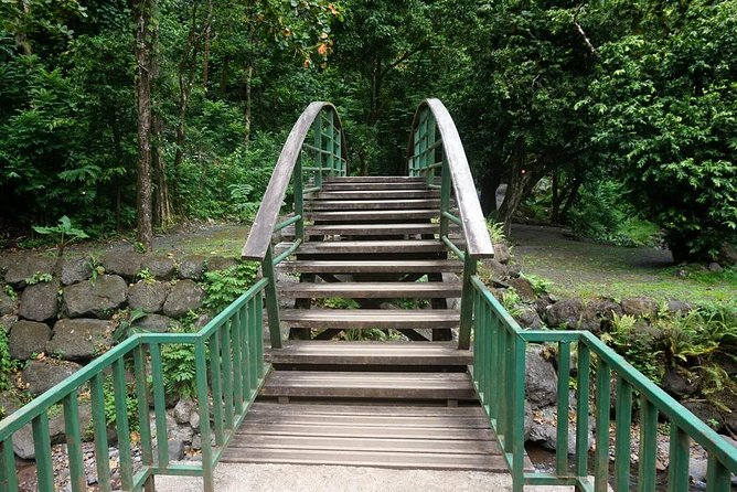 Private Tahiti Circle Island - Waterfalls, Black Sand & Views - Vaipahi Water Gardens reward a slower walk