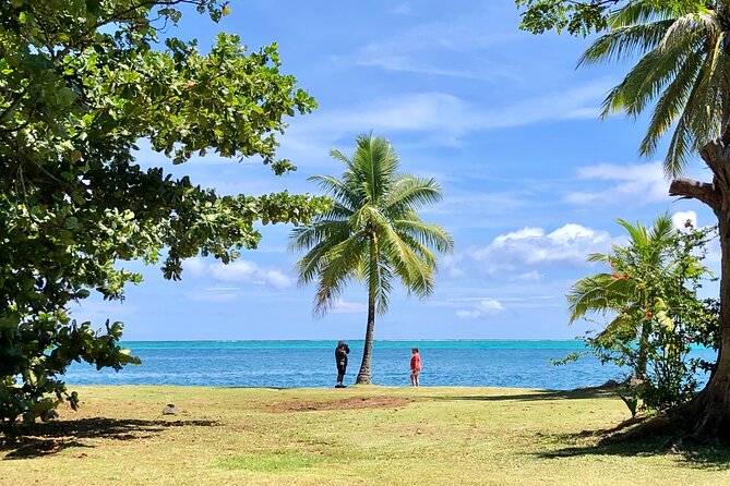 Private TAHITI Half Day Circle Island Tour (Departs 8am or 1pm) - What the $450 group price really buys