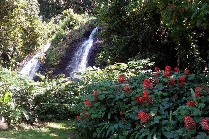 private Tahiti island discovery - Why a private half-day works well in Tahiti
