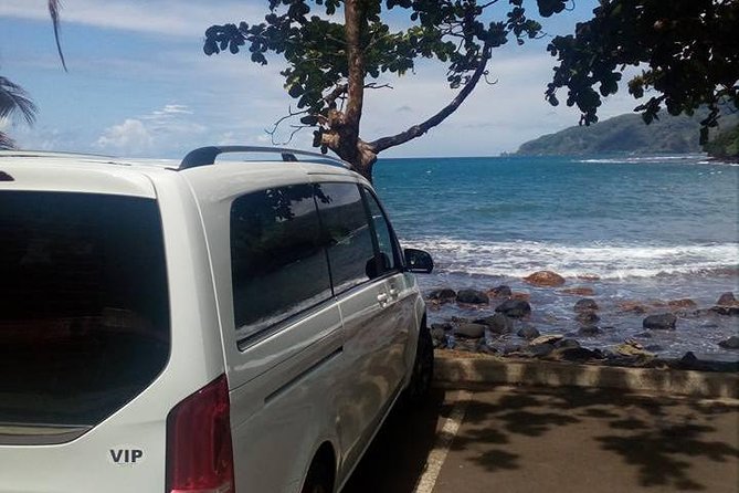 private Tahiti island discovery - Vaipahi Water Gardens: flowers, trees, and a small waterfall