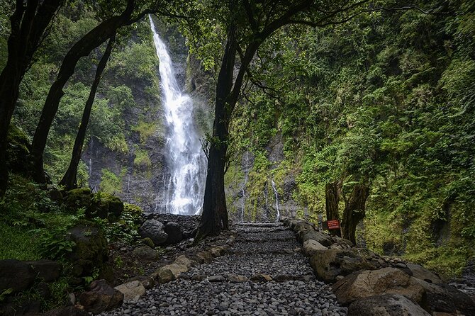 Private : Tahiti Museum & Circle Island Tour, Afternoon Tour (5h) - Vaipahi Gardens and a gentler side of Tahiti