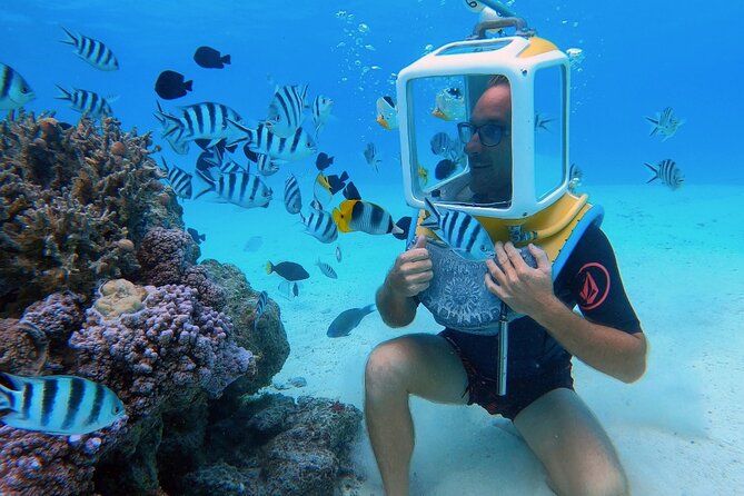 Private Tour: Aqua Safari Scuba Diving - Key points at a glance