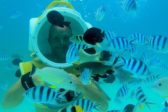 Private Tour: Aqua Safari Scuba Diving - Why the private format matters
