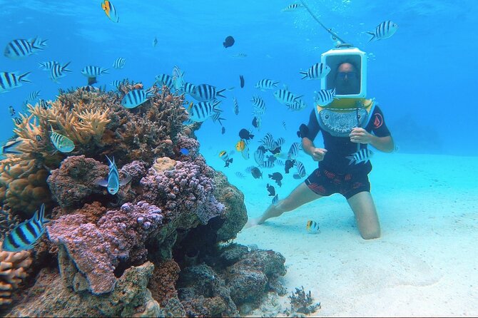Private Tour: Aqua Safari Scuba Diving - The guides and the human side