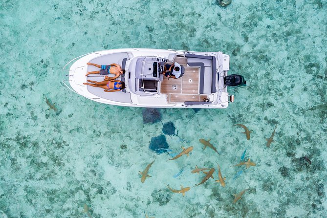Private Tour: Bora Bora Lagoon Eco Snorkel Cruise - 3hrs or 6hrs - A private start from your Bora Bora hotel