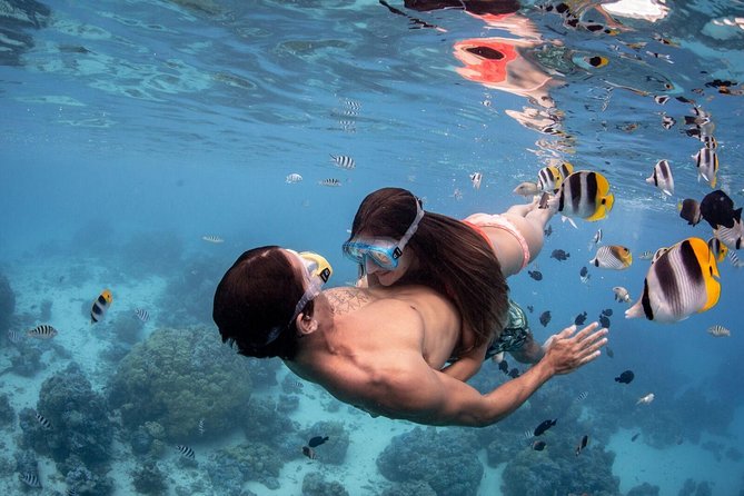 Private Tour: Bora Bora Lagoon Eco Snorkel Cruise - 3hrs or 6hrs - Choosing three hours or six hours