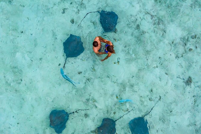 Private Tour: Bora Bora Lagoon Eco Snorkel Cruise - 3hrs or 6hrs - Practical details that affect your decision