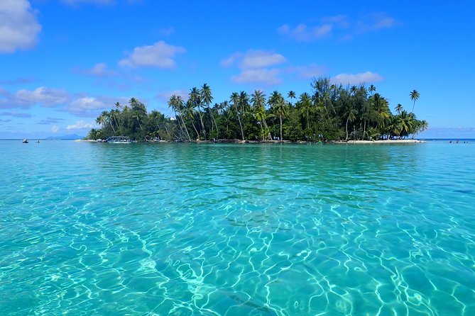 Private tour from Raiatea - 1/2 day excursion to Tahaa or other - Key points to know before booking