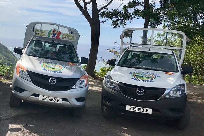 Private Tour Moorea 4WD - Belvedere Pineapple Farm, Magic Mount. - The big payoff at Magic Mountain Overlook