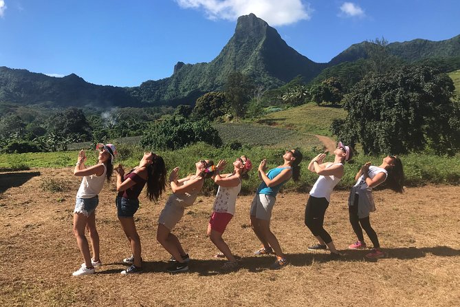 Private Tour Moorea 4WD - Belvedere Pineapple Farm, Magic Mount. - Entering Moorea’s caldera and pineapple country