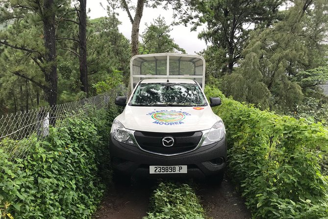 Private Tour Moorea 4WD - Belvedere Pineapple Farm, Magic Mount. - Guide quality and the value of local explanation