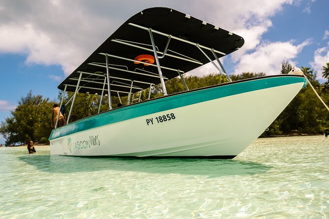 Private tour whale watching and snorkeling in Moorea - Marine life beyond the humpbacks
