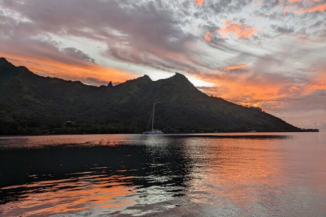 Private Tour Whale Watching Half Day Tour - A three to four-hour private outing