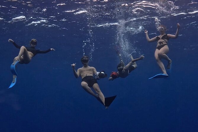 Private Whale Watching Adventure in Mo'orea - The first hours: searching for humpback whales