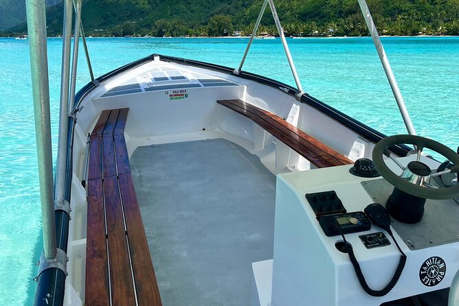 Private Whale Watching Adventure in Mo'orea - Weather, swells, and the limits of nature