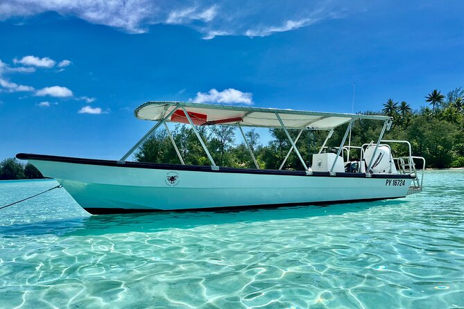 Private Whale Watching Adventure in Mo'orea - What makes the crew’s approach valuable