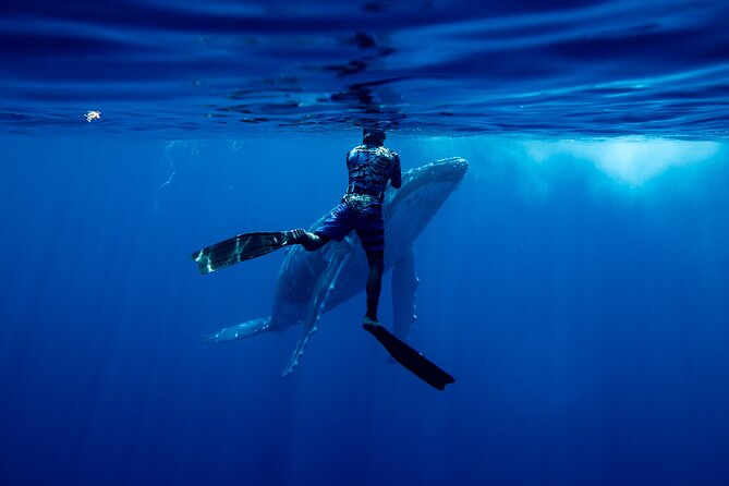 Private Whale Watching Adventure in Mo'orea - Meeting the crew at Plage de Tiahura