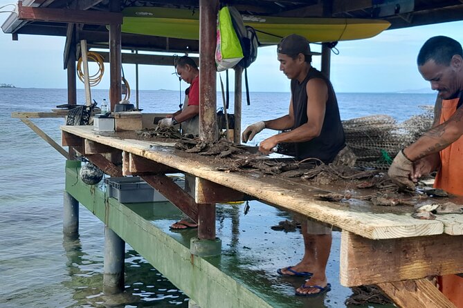 Raiatea-Beautiful Black Pearl of Tahiti and the Vanilla of Tahaa - Price, Group Size, and What You Are Paying For