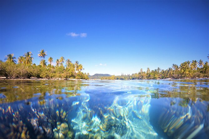 Raiatea-Tahaa Snorkeling in our beautiful Coral Garden - Snorkeling gear, fruit, and a pause on the boat