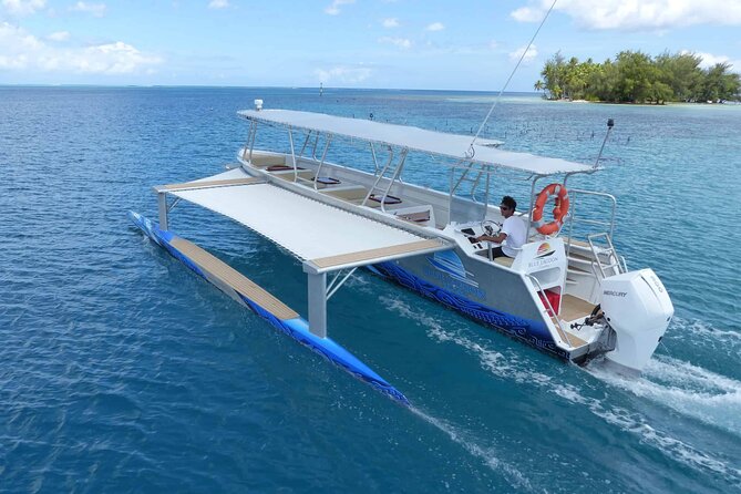 Raiatea-Tahaa Snorkeling in our beautiful Coral Garden - What the $128.75 price gets you