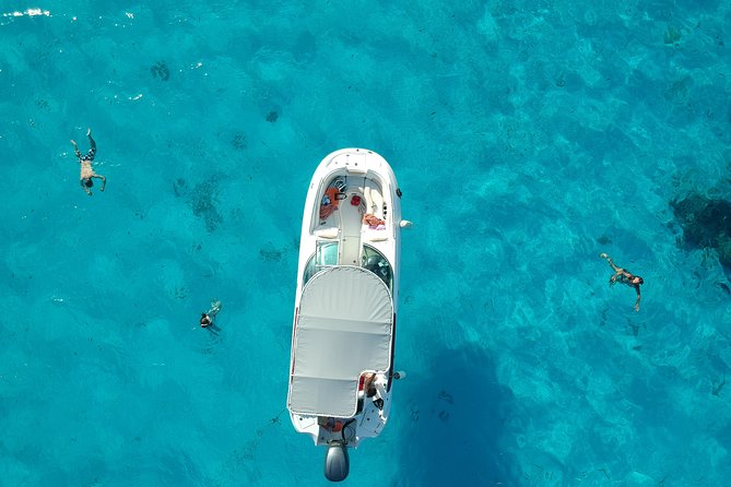 Reef Discovery Half Day Group Signature Tour - Key points to know before booking