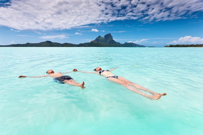 Reef Discovery Half Day Group Signature Tour - Eagle rays, reef sharks, and stingrays