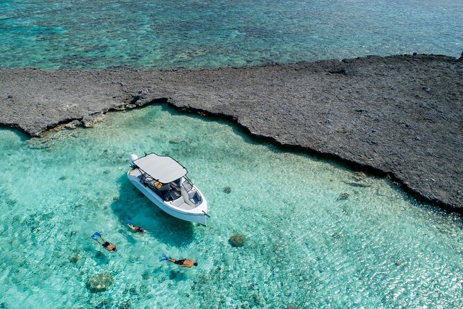 Reef Discovery Luxury Private Snorkeling Lagoon Tour - Booking, Weather, and Cancellation Advice