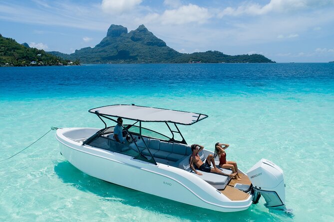 Reef Discovery Luxury Water Lunch Cruise - Key details before you book
