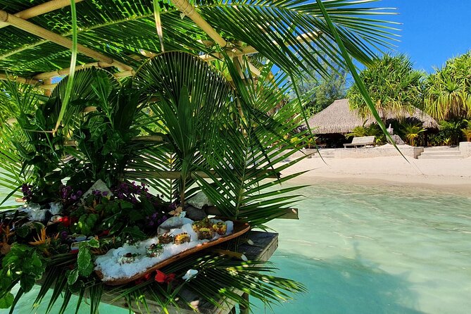 Reef Discovery Luxury Water Lunch Cruise - What the guide adds to the experience
